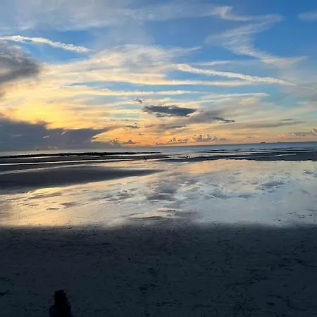 Bellevue - 60 M2 - 3 Ch - Vue - Renove A ! *