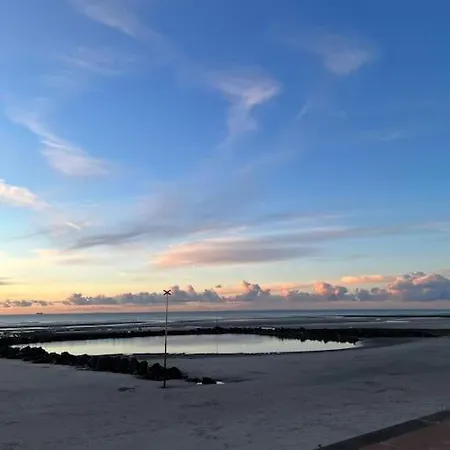 Bellevue - 60 M2 - 3 Ch - Vue - Renove A ! * Вимере